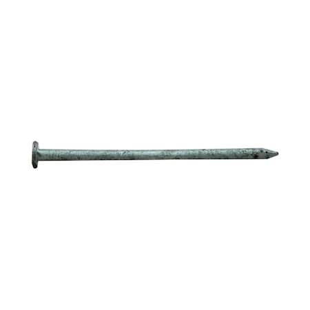 Common Nail, 1-1/2 In L, 4D, Hot Dipped Galvanized Finish